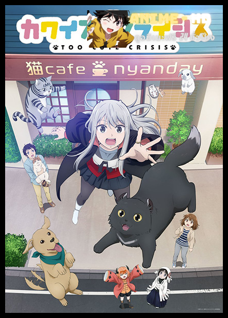 Kawaisugi Crisis คาวาอิซูงิ ไครซิส ซับไทย