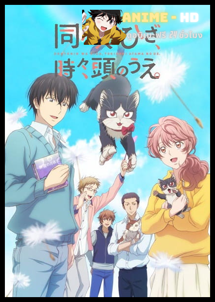 Doukyonin wa Hiza Tokidoki Atama no Ue ซับไทย