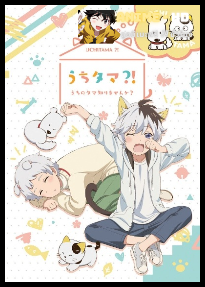 Uchi Tama Uchi no Tama Shirimasen ka ทามะและผองเพื่อน ซับไทย