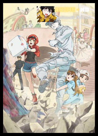 Hataraku Saibou เซลล์ขยันพันธุ์เดือด ซับไทย