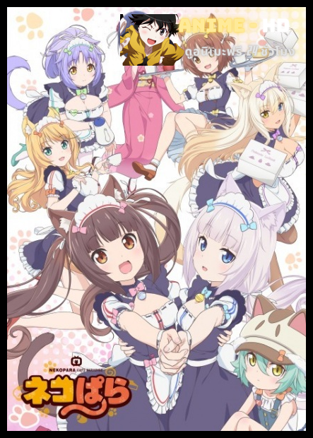 Nekopara ยัยเหมียววุ่ยวาย ซับไทย